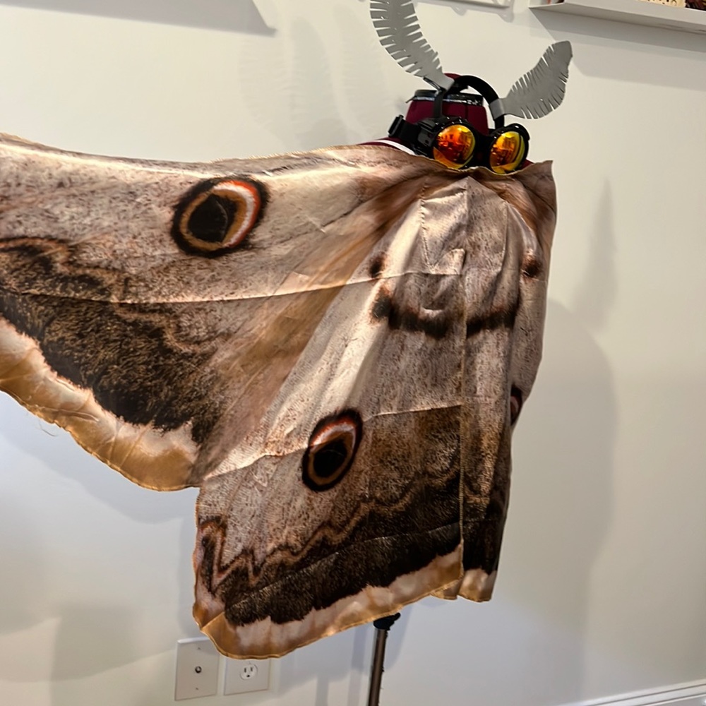 Moth costume- wings, glasses and headband